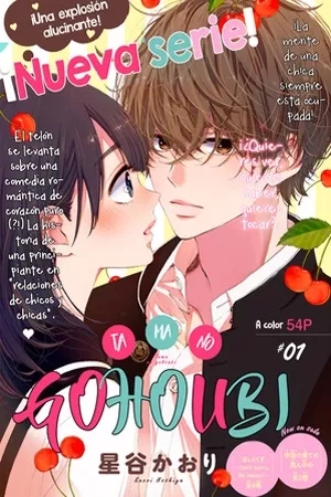 Portada de Tama no Gohoubi