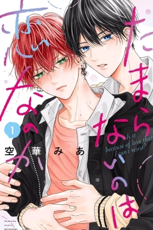 Portada de Tamaranai No Wa Koi Na No Ka
