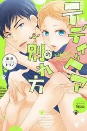 Portada de Teddy Bear no Wakarekata
