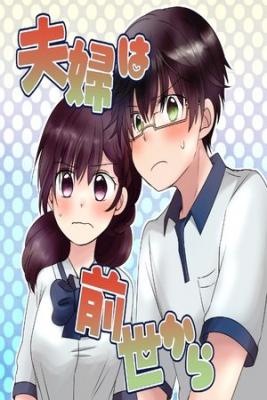 Portada de The Couple From Previous Lives