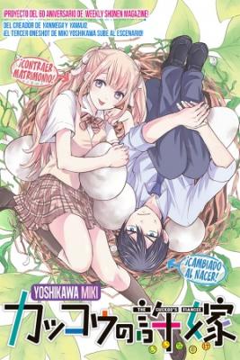 Portada de The Cuckoo S Fiancee