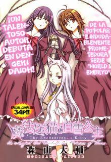 Portada de The Enchantress S Kitty The Magical Cat Doctor And The Princess Of Thorns