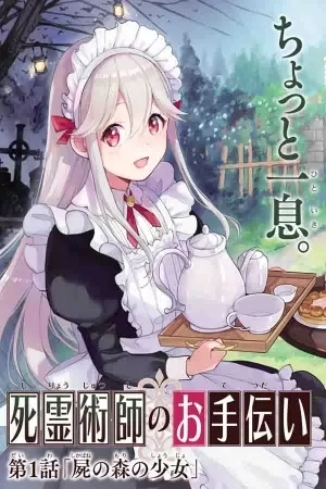 Portada de The Necromancer Maid