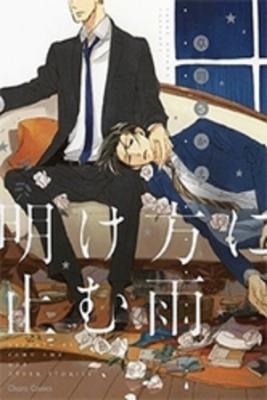 Portada de The Rain That Ends At Dawn