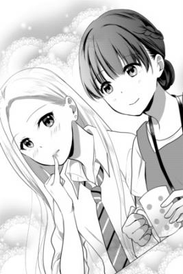 Portada de The School Librarian And The High School Girl