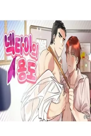 Portada de The Use of a Necktie