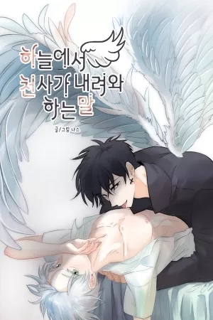 Portada de The Words of an Angel Who Came from the Heaven