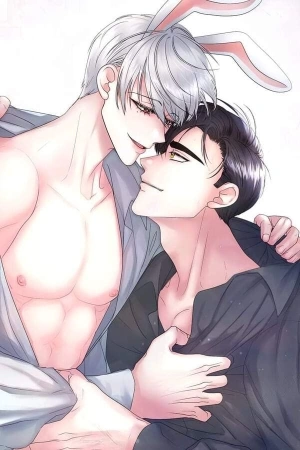 Portada de This Is the Rabbit You (Didn't) Order