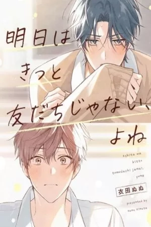 Portada de Tomorrow We Won't Be Friends For Sure, Right?