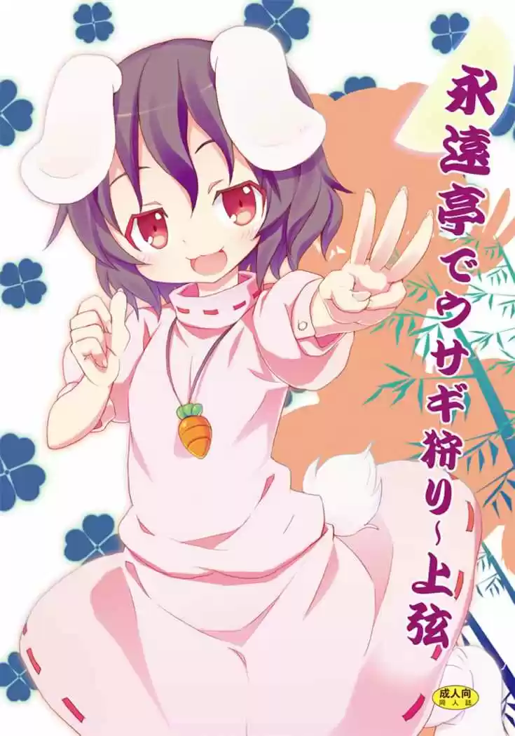 Portada de Touhou Project