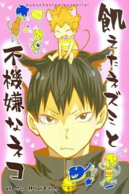Portada de Ueta Nezumi To Fukigen Na Neko