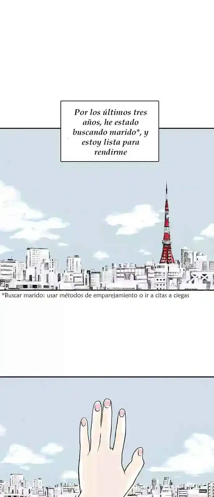 Portada de Un Amorio Falso