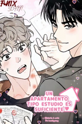 Portada de Un Apartamento Tipo Estudio Es Suficiente