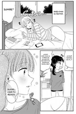 Portada de Un Manga Yuri Original
