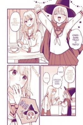 Portada de Una Historia Sobre Una Chica Que Recibe Un Chocolate De Onee Sama