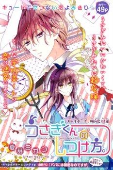 Portada de Usagi Kun No Shitsukekata