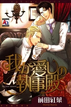Portada de Waga Itoshi No Shitsujidono