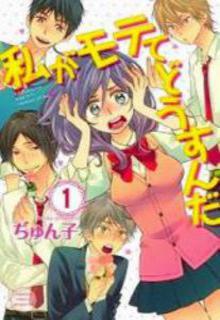 Portada de Watashi Ga Motete Dousunda