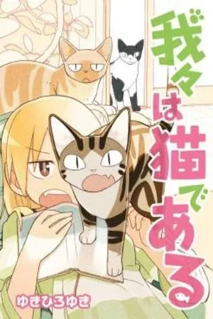 Portada de we are cats