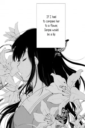 Portada de White Lily and Spring Aster