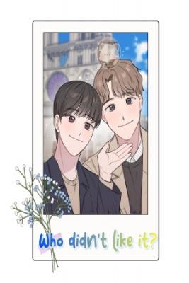 Portada de Who Didn T Like It