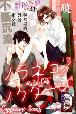 Portada de Wild Cat