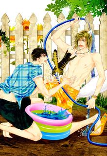 Portada de Wild Honey