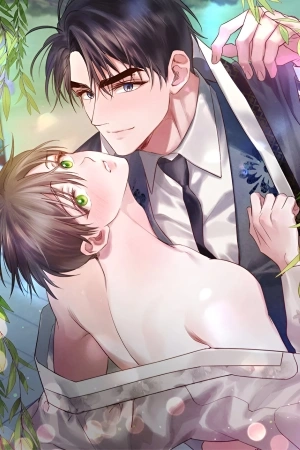 Portada de Willow Love Story