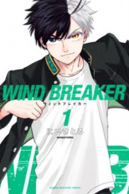 Portada de Windbreaker