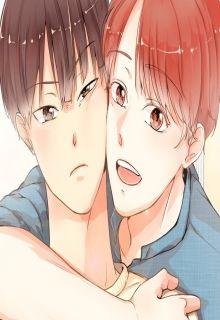 Portada de Window Beyond Window
