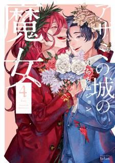 Portada de Witch Of Thistle Castle
