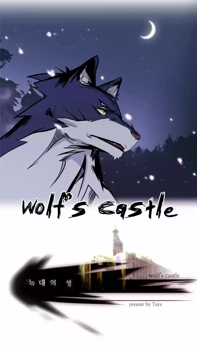 Portada de Wolf S Castle