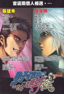 Portada de Wolf Y Mary