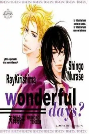 Portada de Wonderful Days?