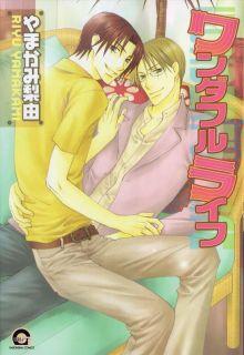 Portada de Wonderful Life