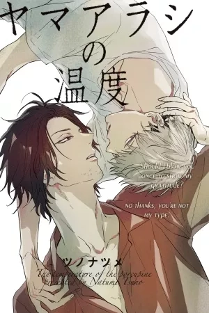 Portada de Yamaarashi no Ondo