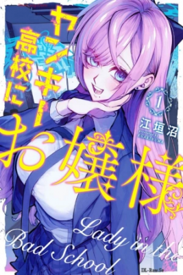 Portada de Yankee Koko Ni Ojou Sama