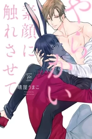 Portada de Yarakai Sugao ni Huresasete