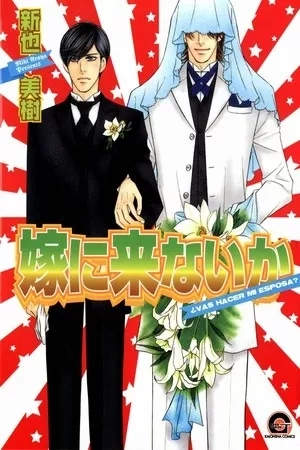 Portada de Yome ni Konai Ka