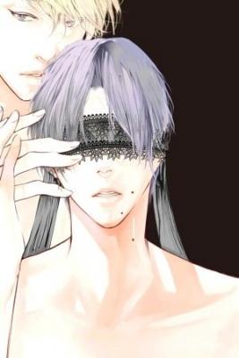 Portada de Yoru No Rakka